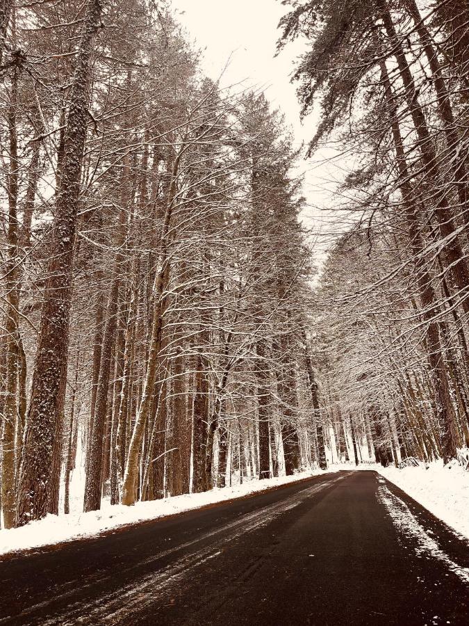 La Veranda Nella Neve - كاميغلياتيلو سيلانو المظهر الخارجي الصورة